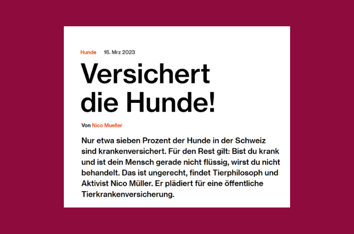 Artikel: Versichert die Hunde!