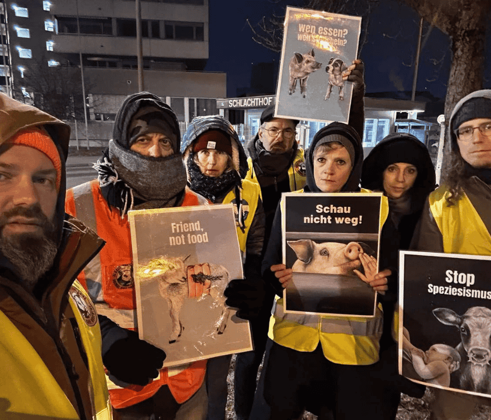 Basel Animal Save