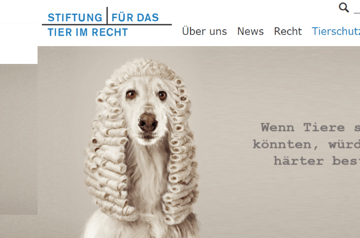 Datenbank: Tierschutzstraffälle