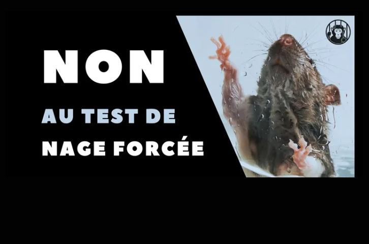 Demo Forced Swim Test