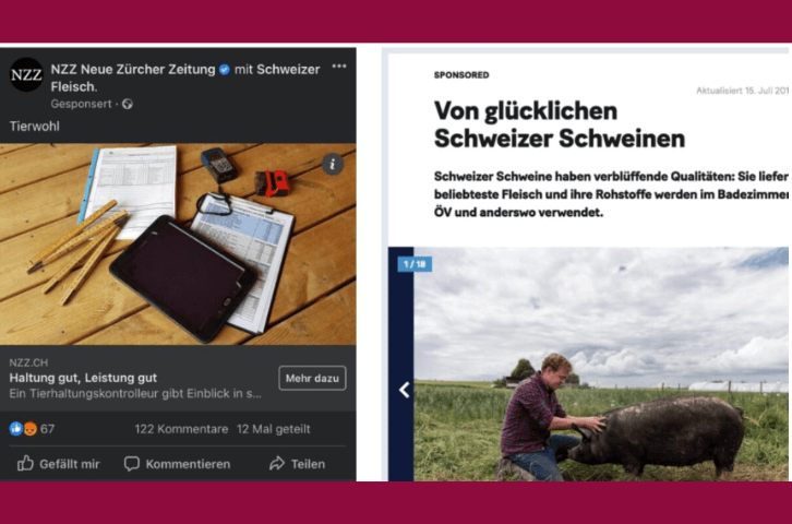 Dokument: Medienguide