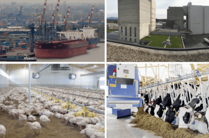 Fachartikel: Schweizer Futtermittelimporte