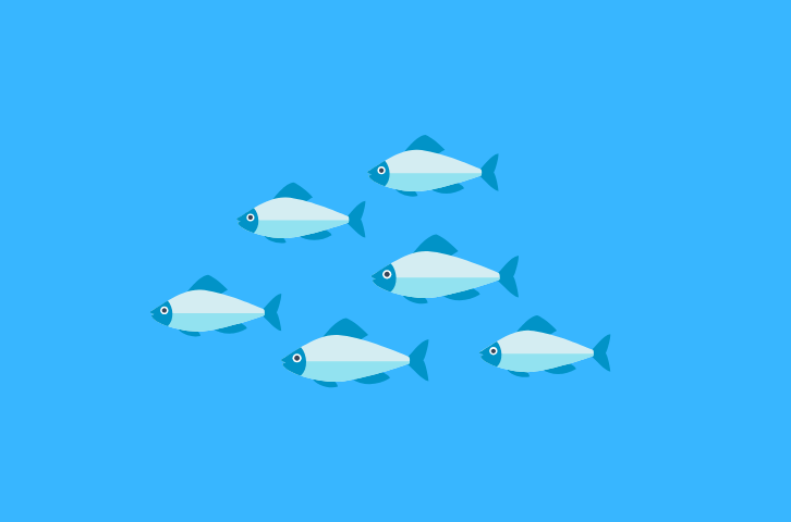 Website: fischwissen.ch