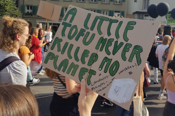 Schildermalen für den Klimastreik