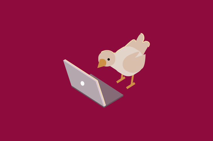 Lern-Quiz: Politische Recherche