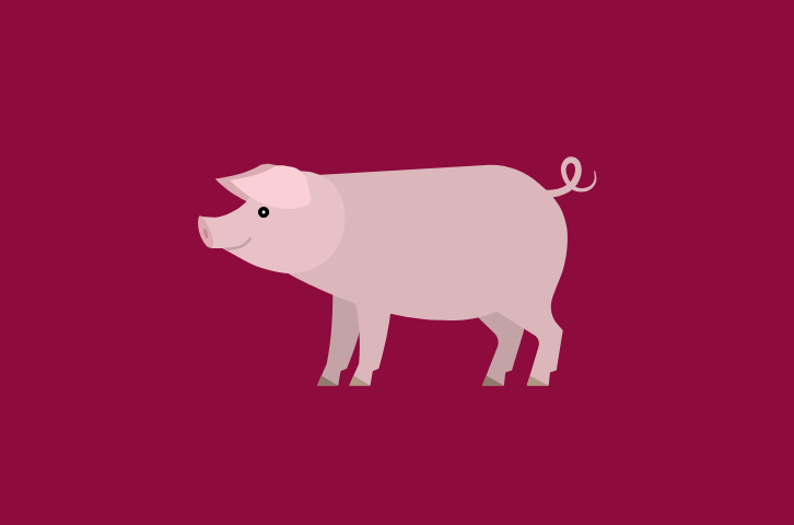 Lern-Quiz: Tierrechte