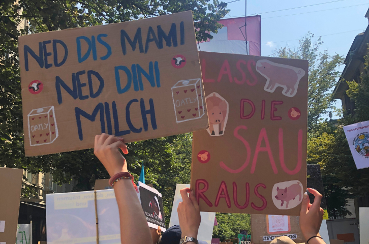 Schildermalen vor dem Animal Rights March