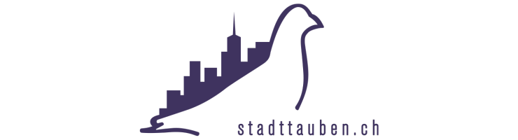 Stadttauben Schweiz