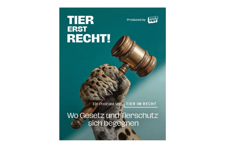 Podcast: Tier erst Recht!