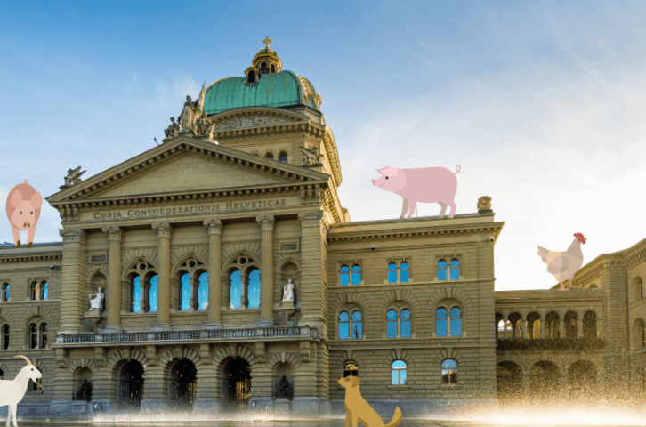 Webseite: Nachricht an Politiker:in schreiben