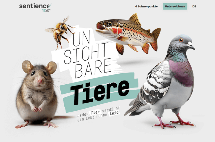 Webseite: Unsichtbare Tiere